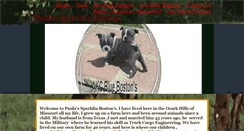 Desktop Screenshot of paulassparklinbostons.com